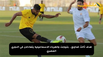 هدف ثالث ضائع.. بتروجت وكهرباء الإسماعيلية يتعادلان في الدوري المصري